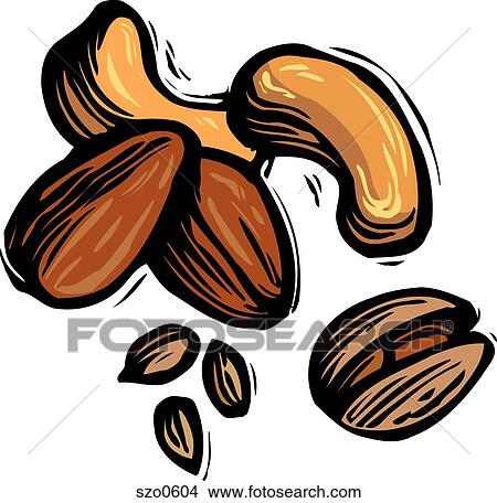 An illustration of a mixture of cashews, Almonds, Pistachios and sunflower seeds View Large Illustration Stock Illustration - An illustration of a mixture of cashews, Almonds, Pistachios and sunflower seeds. Fotosearch