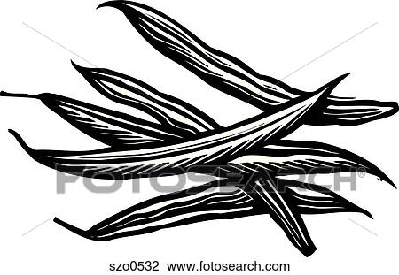 Drawing - An illustration of beans in black and white. Fotosearch