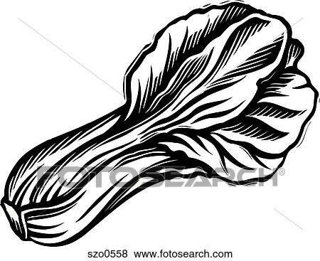 An illustration of bok chouy in black and white View Large Illustration Stock Illustration - An illustration of bok chouy in black and white. Fotosearch