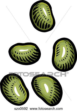 Drawing - An illustration of green soy beans. Fotosearch