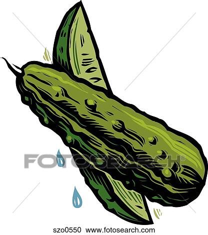 Stock Illustrations of An illustration of sliced pickles szo0550