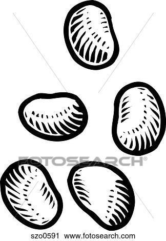 Clip Art - An illustration of soy beans in black and white. Fotosearch