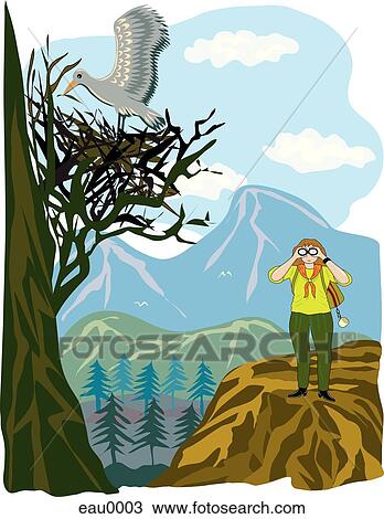 A woman uses her binocular for bird watching View Large Illustration Drawing - A woman uses her binocular for bird watching. Fotosearch