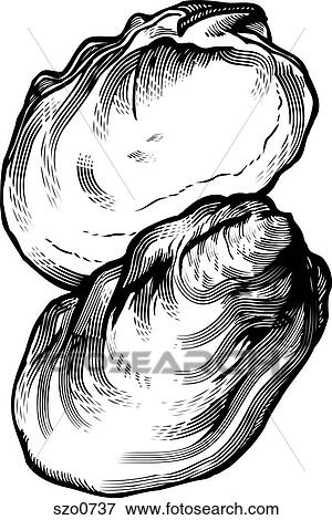Stock Illustration - A black and white drawing of an oyster. Fotosearch