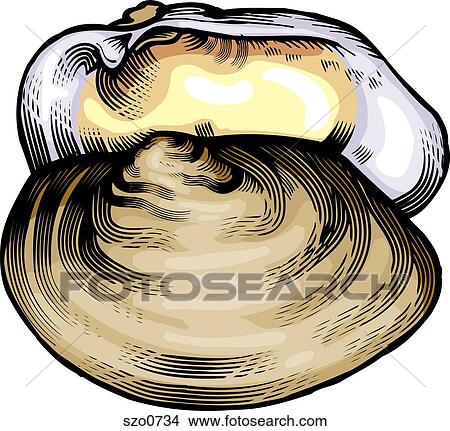 A drawing of a clam View Large Illustration Stock Illustration - A drawing of a clam. Fotosearch