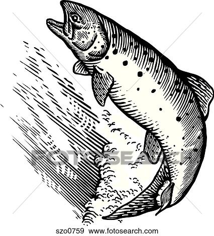 A drawing of a leaping salmon View Large Illustration Stock Illustration - A drawing of a leaping salmon. Fotosearch