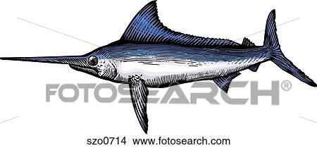 A Drawing Of A Marlin Stock Illustration Szo0714 Fotosearch Download files and build them with your 3d printer, laser cutter, or cnc. fotosearch