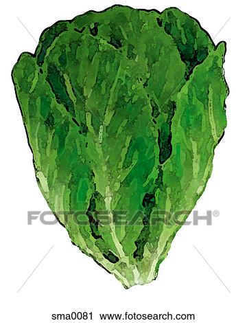 illustration, food, produce, cartoons, graphics View Large Illustration Clip Art - illustration, food, produce, cartoons, graphics. Fotosearch