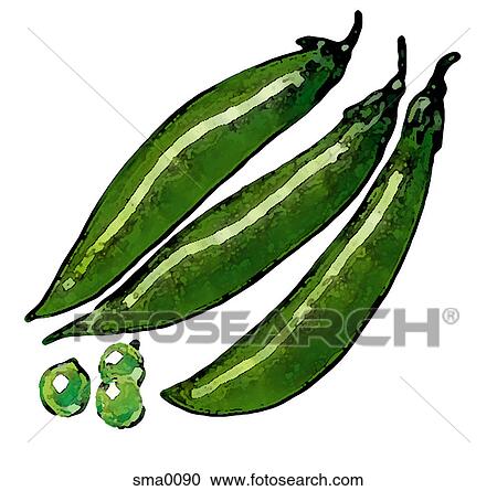 illustration, food, produce, cartoons, graphics View Large Illustration Clipart - illustration, food, produce, cartoons, graphics. Fotosearch