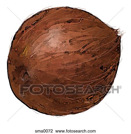 illustration, food, produce, cartoons, graphics View Large Illustration Drawing - illustration, food, produce, cartoons, graphics. Fotosearch