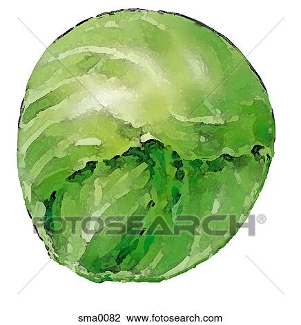 illustration, food, produce, cartoons, graphics View Large Illustration Drawing - illustration, food, produce, cartoons, graphics. Fotosearch