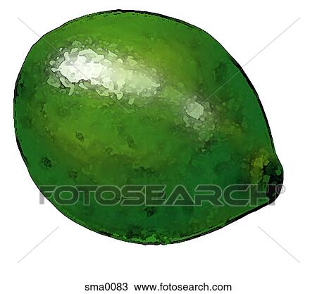 Drawing - illustration, food, produce, cartoons, graphics. Fotosearch