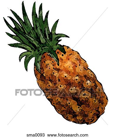 illustration, food, produce, cartoons, graphics View Large Illustration Drawing - illustration, food, produce, cartoons, graphics. Fotosearch
