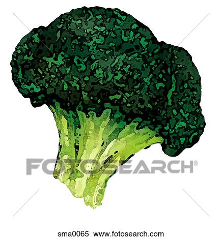 illustration, food, produce, cartoons, graphics View Large Illustration Stock Illustration - illustration, food, produce, cartoons, graphics. Fotosearch