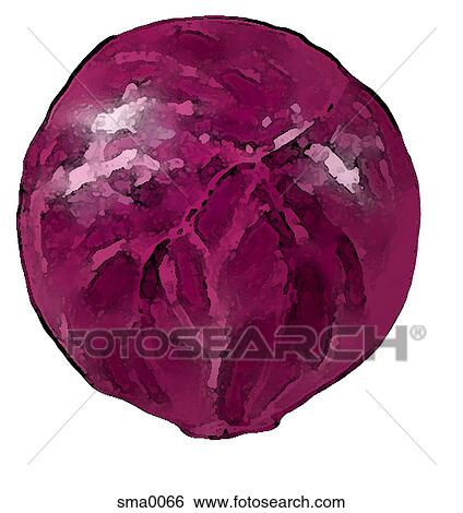 illustration, food, produce, cartoons, graphics View Large Illustration Stock Illustration - illustration, food, produce, cartoons, graphics. Fotosearch