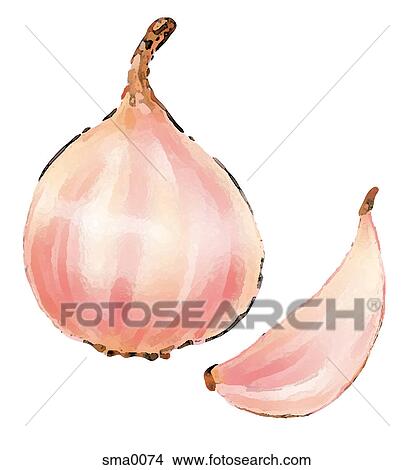 illustration, food, produce, cartoons, graphics View Large Illustration Stock Illustration - illustration, food, produce, cartoons, graphics. Fotosearch