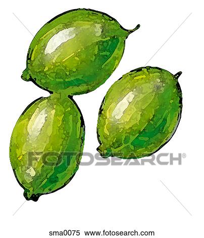 illustration, food, produce, cartoons, graphics View Large Illustration Stock Illustration - illustration, food, produce, cartoons, graphics. Fotosearch