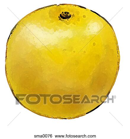 illustration, food, produce, cartoons, graphics View Large Illustration Stock Illustration - illustration, food, produce, cartoons, graphics. Fotosearch