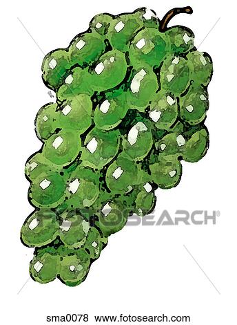 illustration, food, produce, cartoons, graphics View Large Illustration Stock Illustration - illustration, food, produce, cartoons, graphics. Fotosearch