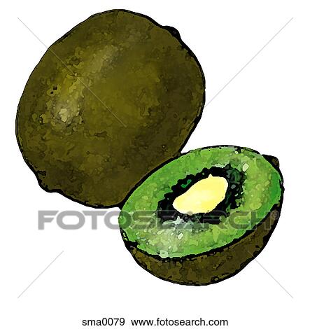 illustration, food, produce, cartoons, graphics View Large Illustration Stock Illustration - illustration, food, produce, cartoons, graphics. Fotosearch