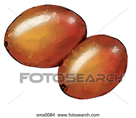 illustration, food, produce, cartoons, graphics View Large Illustration Stock Illustration - illustration, food, produce, cartoons, graphics. Fotosearch