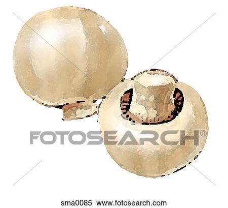 illustration, food, produce, cartoons, graphics View Large Illustration Stock Illustration - illustration, food, produce, cartoons, graphics. Fotosearch