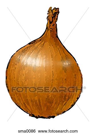 illustration, food, produce, cartoons, graphics View Large Illustration Stock Illustration - illustration, food, produce, cartoons, graphics. Fotosearch
