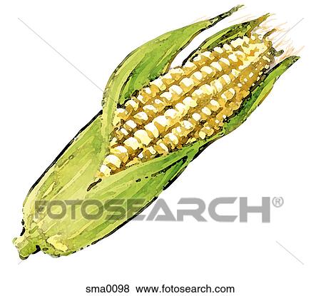 illustration, food, produce, cartoons, graphics View Large Illustration Stock Illustration - illustration, food, produce, cartoons, graphics. Fotosearch