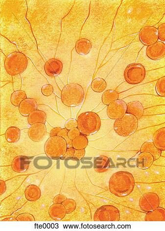 An illustration of cells View Large Illustration Drawing - An illustration of cells. Fotosearch
