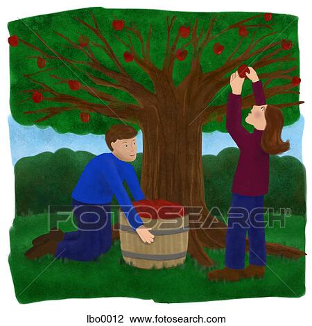 Drawing - illustration, seasons, produce, cartoons, graphics. Fotosearch