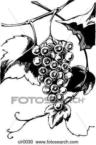 Clipart - illustration, scenic, vintage, cartoons, graphics. Fotosearch