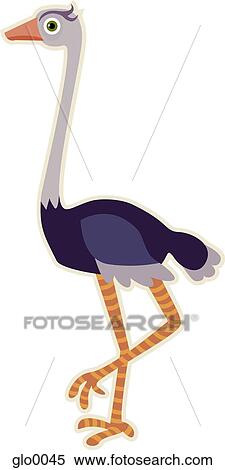 Drawing of an ostrich View Large Illustration Stock Illustration - Drawing of an ostrich. Fotosearch