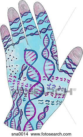 Picture - A picture of a dna hand. Fotosearch