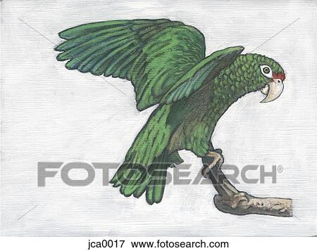 A green puerto rican parrot View Large Illustration Stock Illustration - A green puerto rican parrot. Fotosearch