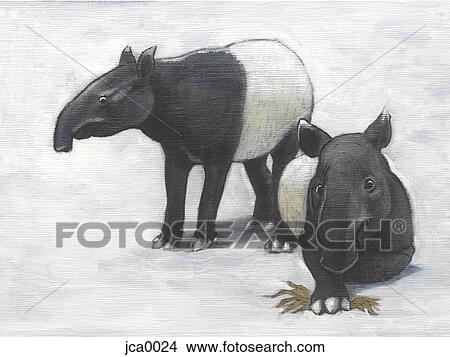 A pair of Malaysian tapirs View Large Illustration Stock Illustration - A pair of Malaysian tapirs. Fotosearch