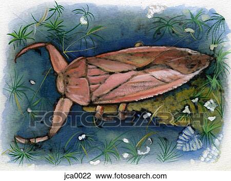 A picture of a long armed beetle View Large Illustration Drawing - A picture of a long armed beetle. Fotosearch