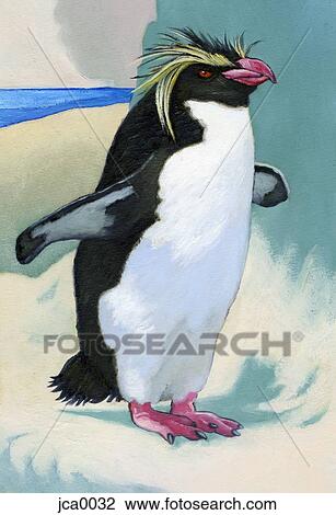 An ilustration of a rock hopper View Large Illustration Drawing - An ilustration of a rock hopper. Fotosearch