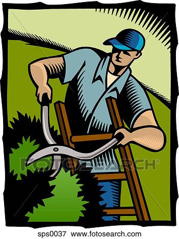 A man cutting hedges View Large Illustration Stock Illustration - A man cutting hedges. Fotosearch