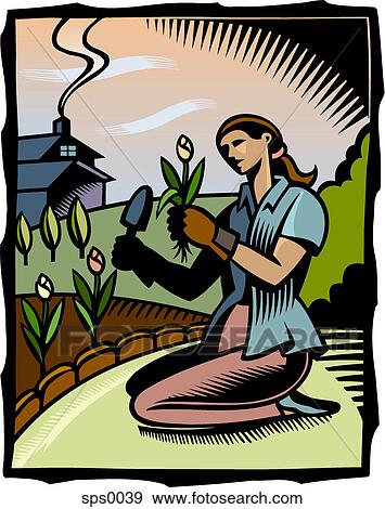 A woman doing gardening View Large Illustration Stock Illustration - A woman doing gardening. Fotosearch