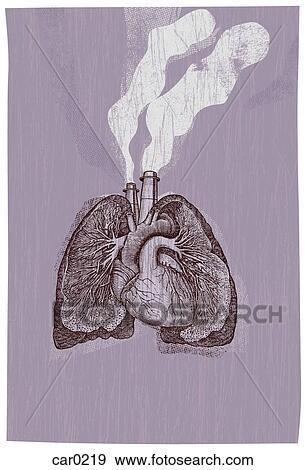 Lungs with smoke coming out of them View Large Illustration Stock Illustration - Lungs with smoke coming out of them. Fotosearch