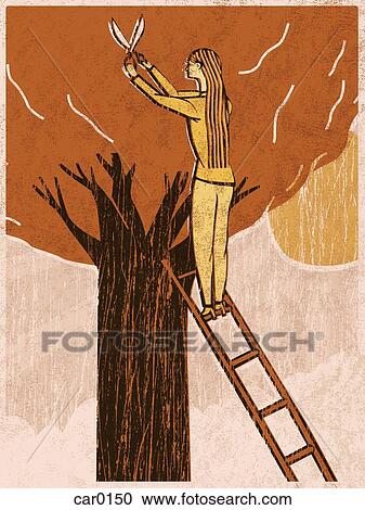 A woman on a ladder shearing a tree View Large Illustration Clipart - A woman on a ladder shearing a tree. Fotosearch