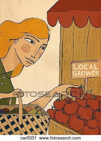 Clip Art - A woman picking apples from a local grower. Fotosearch