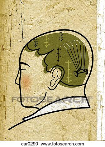 A sprinkler on the back of a mans head who has grass for hair View Large Illustration Clipart - A sprinkler on the back of a mans head who has grass for hair. Fotosearch