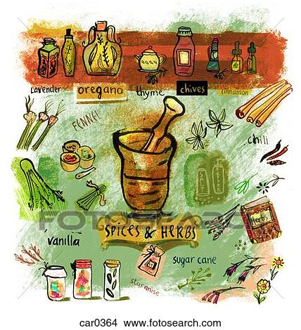 Collage of various spices and herbs View Large Illustration Stock Illustration - Collage of various spices and herbs. Fotosearch