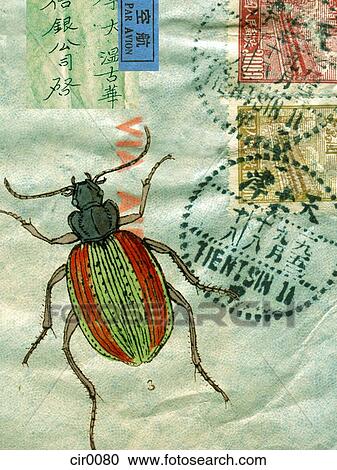 Clipart - An old envelope with stamps, Chinese characters, and a beetle. Fotosearch