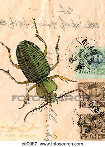 Stock Illustration - An old envelope with stamps, Chinese and English writing and a beetle. Fotosearch