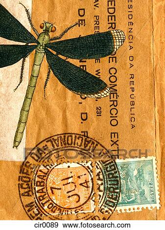 An old envelope with stamps from Brazil and a green dragonfly View Large Illustration Stock Illustration - An old envelope with stamps from Brazil and a green dragonfly. Fotosearch