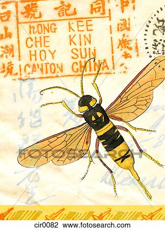 An old envelope with stamps from China, Chinese characters and a wasp View Large Illustration Drawing - An old envelope with stamps from China, Chinese characters and a wasp. Fotosearch