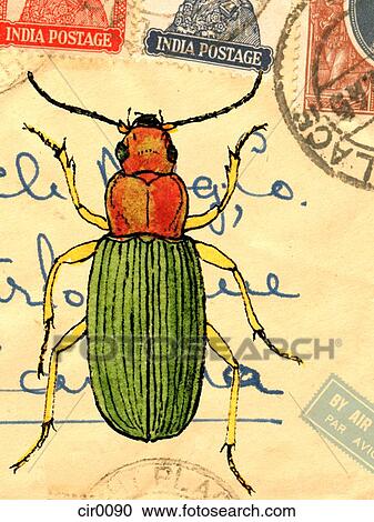 Clipart - An old envelope with stamps from India, handwriting and a beetle. Fotosearch