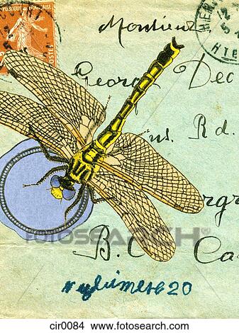 An old envelope with stamps from France, handwriting and a dragonfly View Large Illustration Stock Illustration - An old envelope with stamps from France, handwriting and a dragonfly. Fotosearch